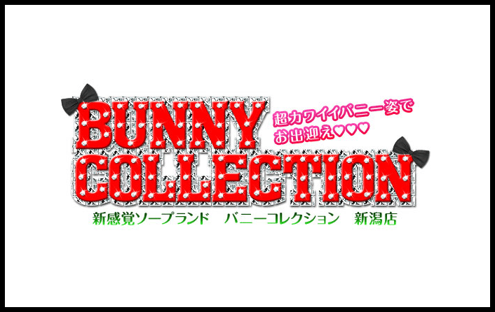 バニーコレクション 新潟店